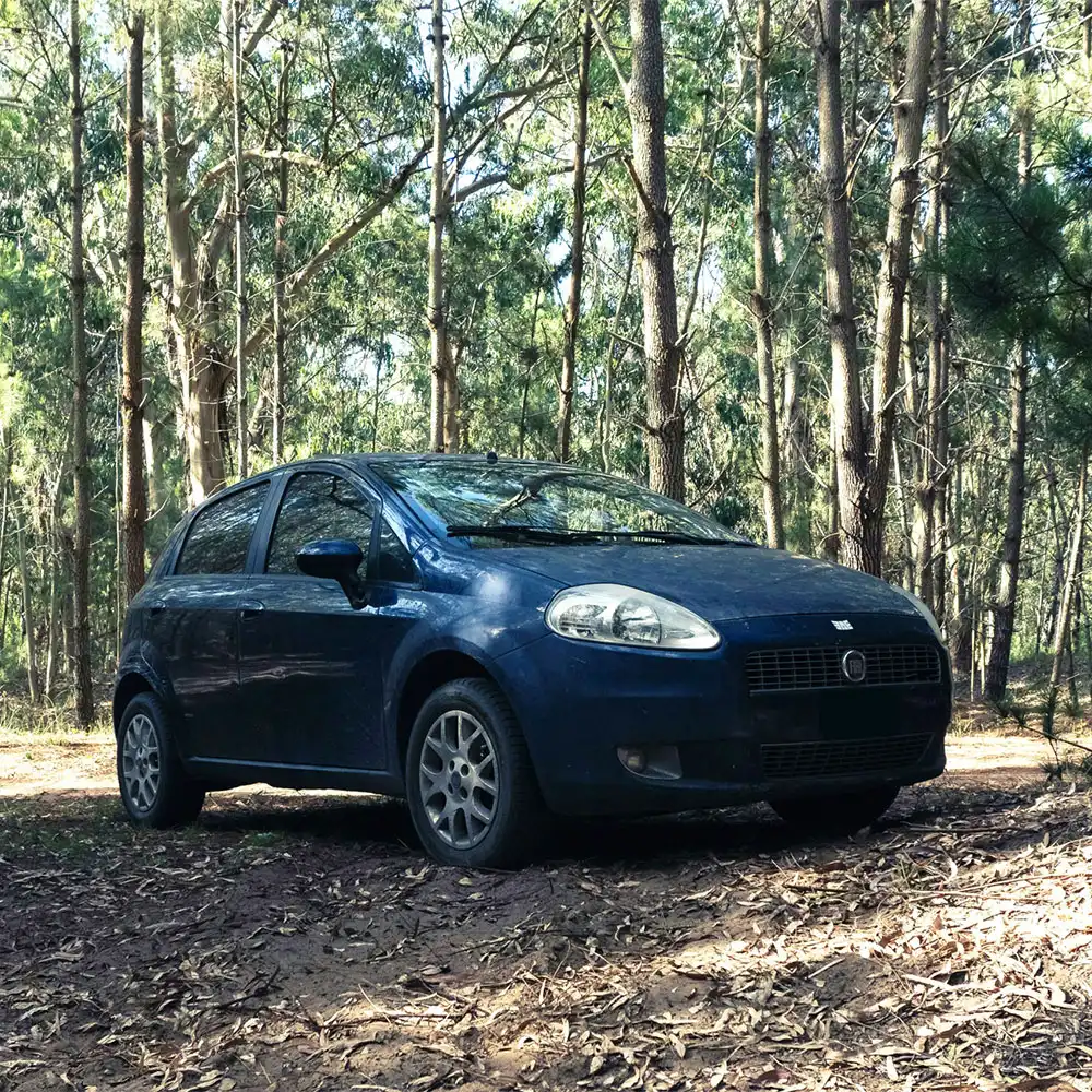 Fiat in Richmond, VA