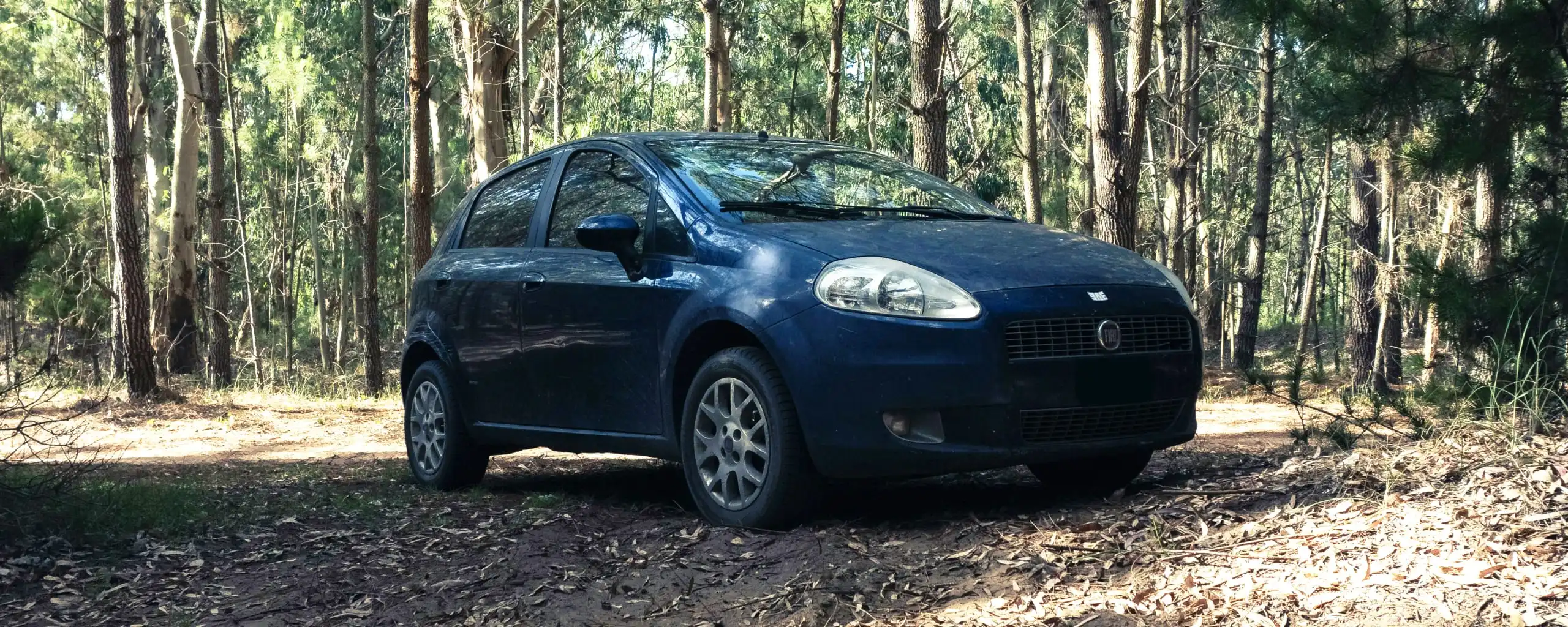 Fiat near Richmond, VA