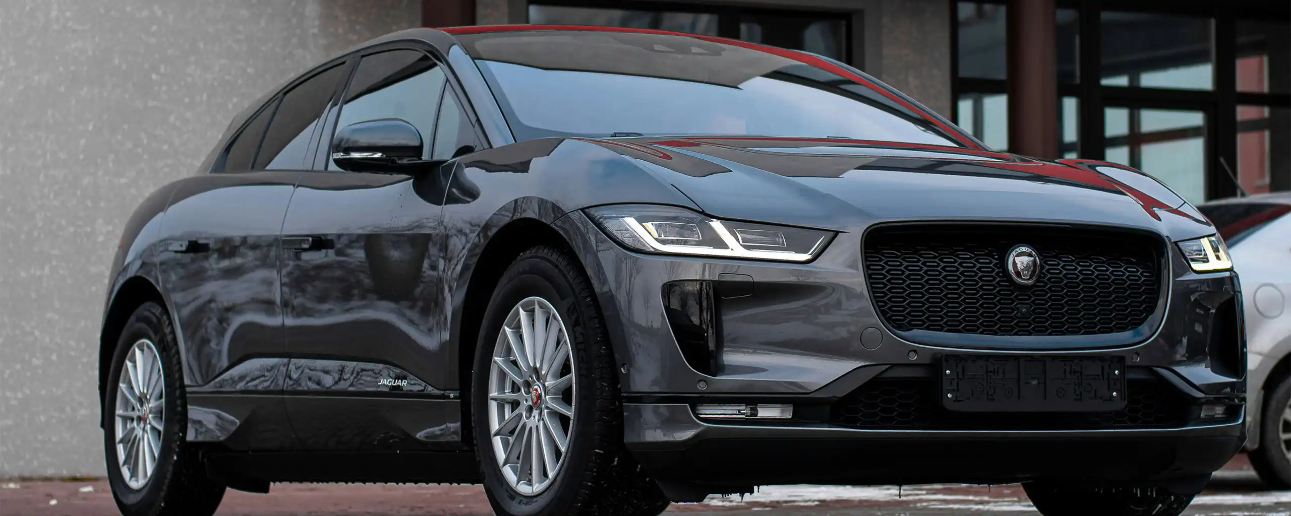 Jaguar near Richmond, VA