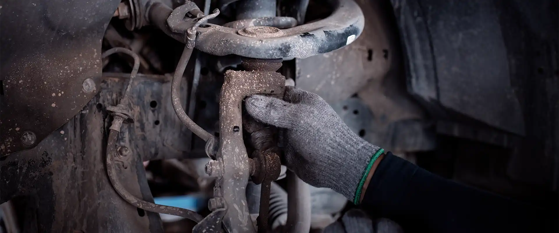 Shock and Struts